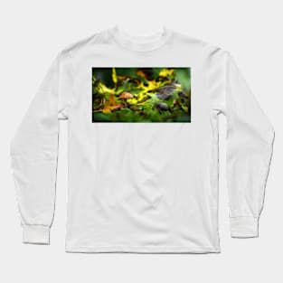 Tiny Brown Mushroom Among Fallen Leaves Long Sleeve T-Shirt